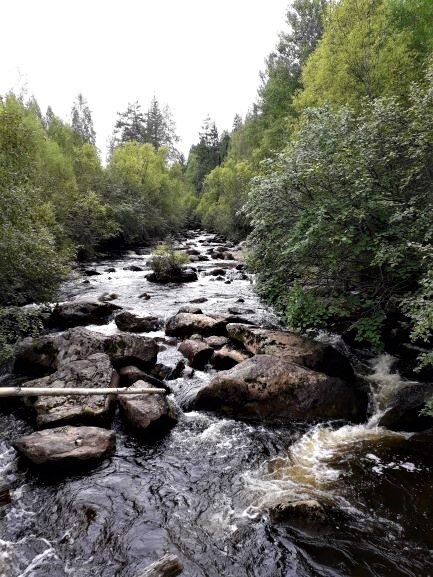 Такой ручей лучше не переходить вброд. Фото автора.