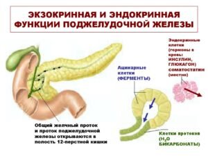 gastrodoktor.ru