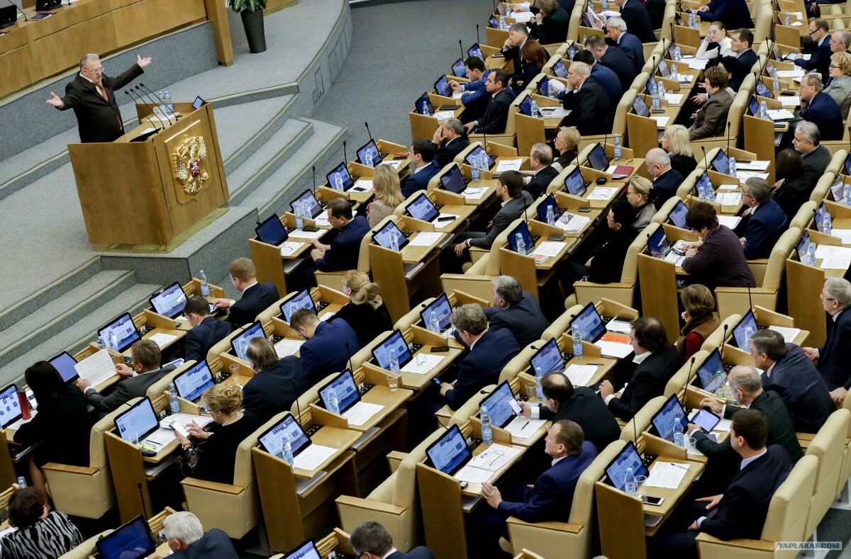Заседание Госдумы. Фото из открытого источника.