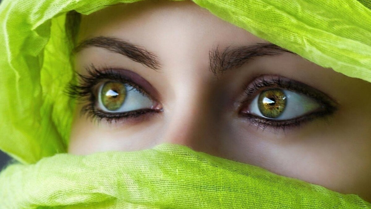 Источник Яндекс.Картинки