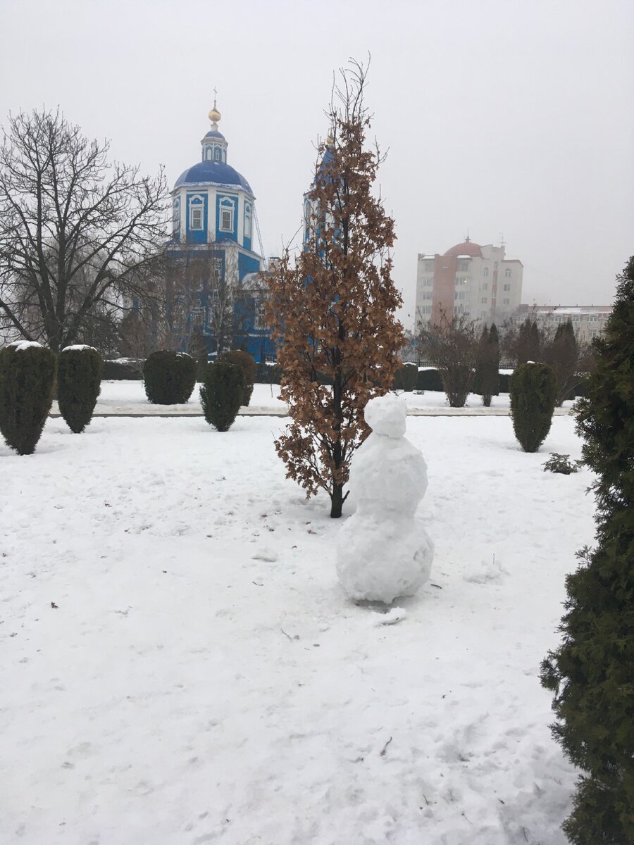 набережная тамбова зимой
