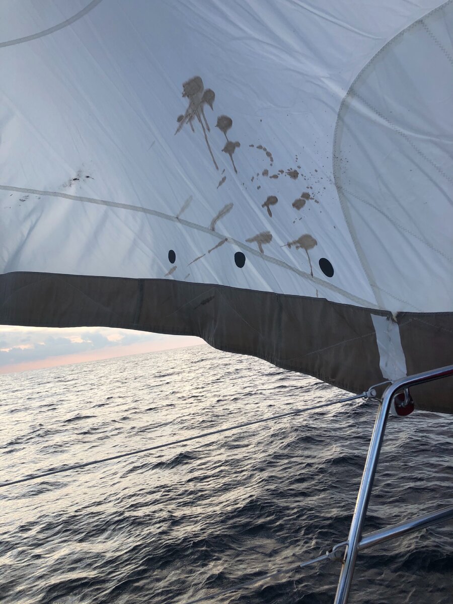 Чернила кальмара на стакселе