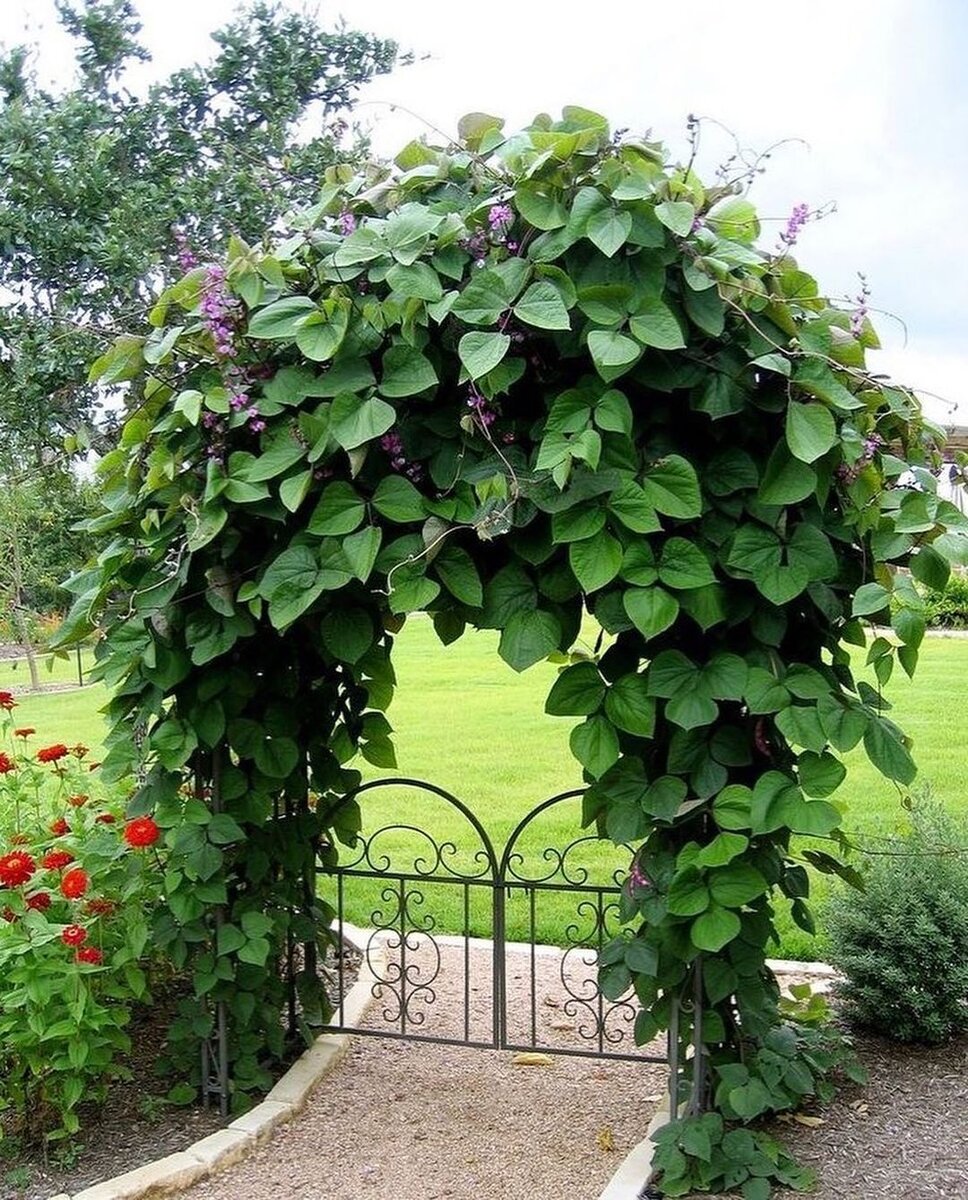 Фото https://www.instagram.com/p/CLAGvoHnISA/