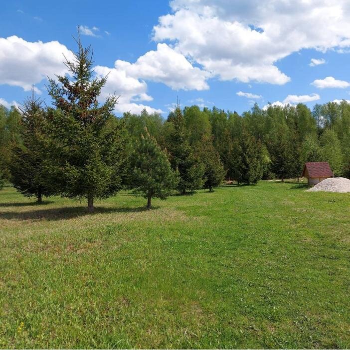  Компания "Дачная земля 33" быстро разобралась, что мы хотим и предложила нужный вариант