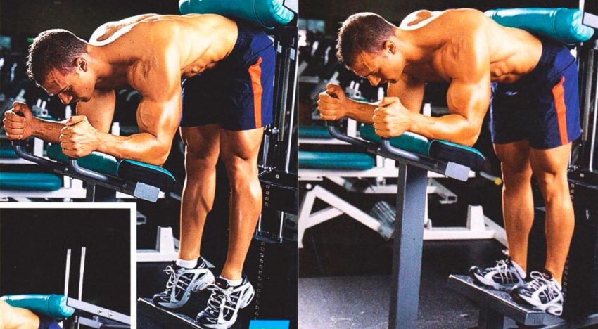 Развитие мышц кора и спины