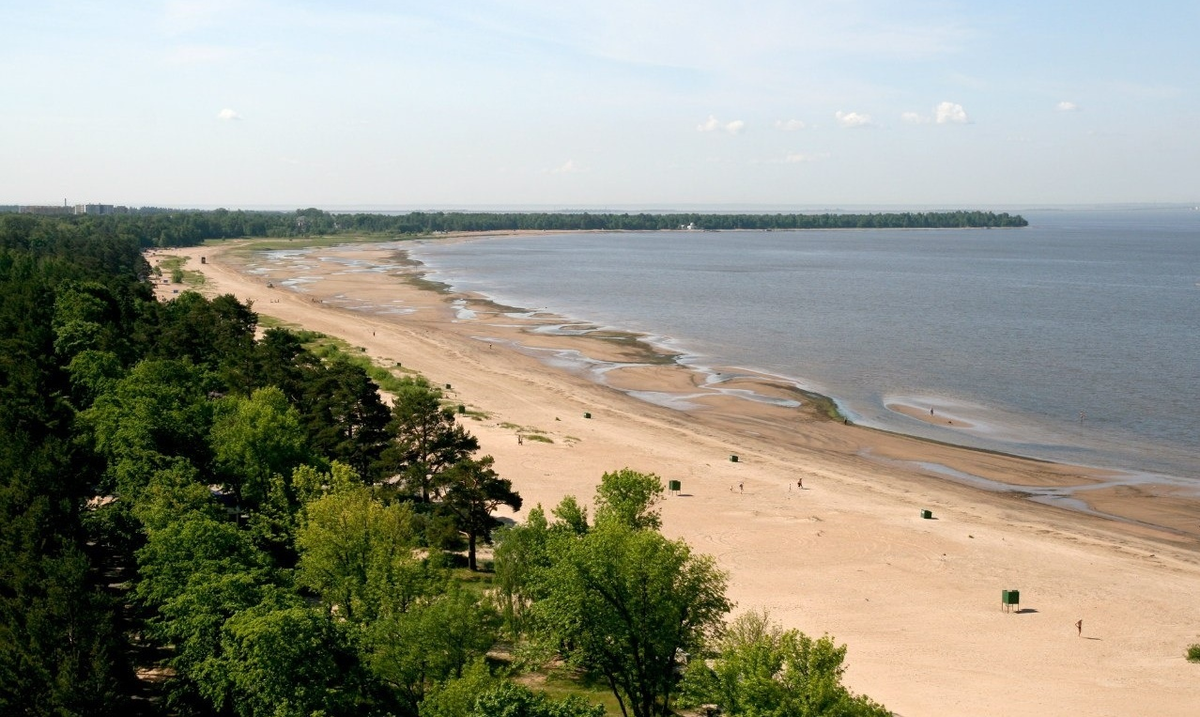 Сестрорецк пляж ласковый