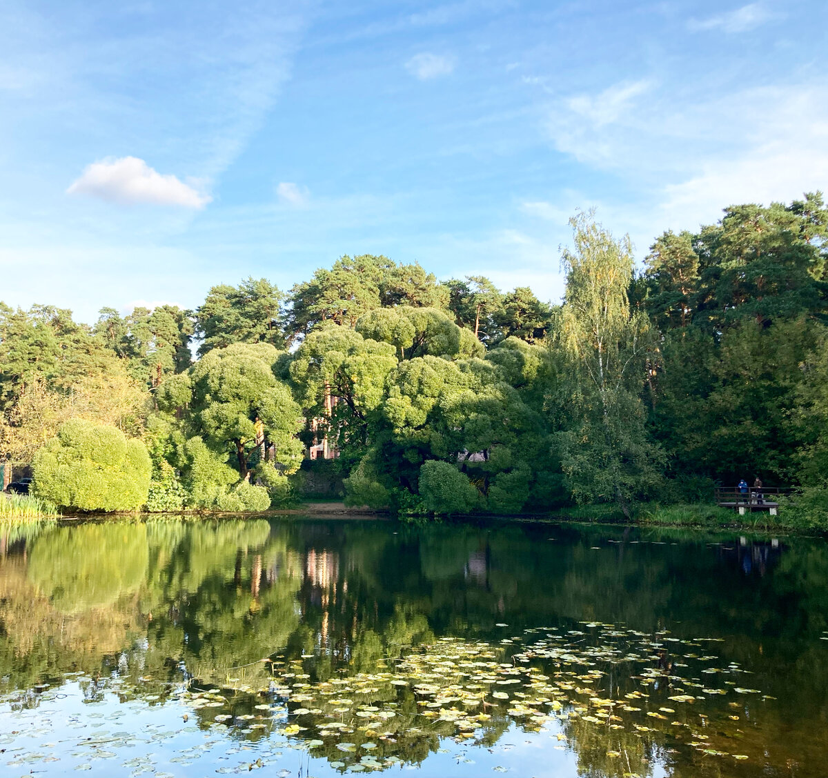 Берег Бездонного озера. Источник изображения: «Москва. Детали».
 
