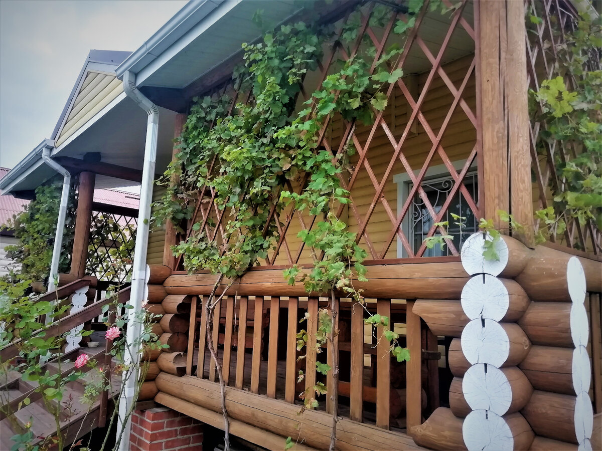 Наша терраса