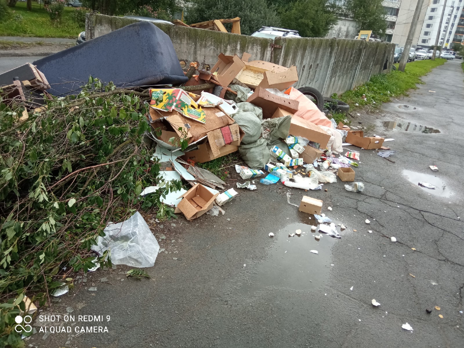 Жить или нет в Петрозаводске — рассказываю о красивом фасаде города, плюсах и недостатках. То, о чем не рассказывают туристам5