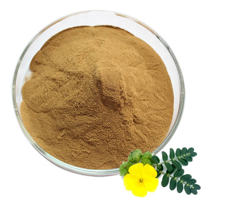 Трибулус Террестрис в порошке