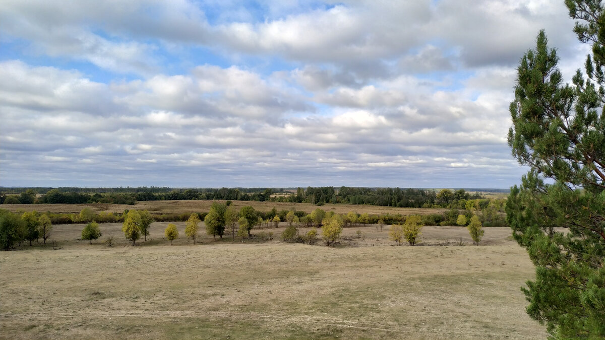 Курганское поле