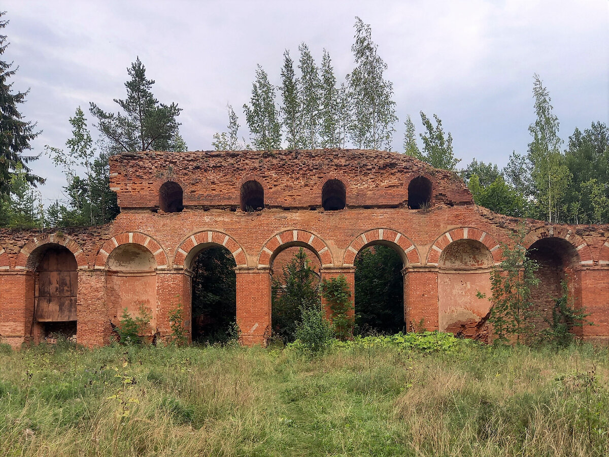 медведь новгородская область. деревня медведь новгородская область шимский район. село медведь новгородской области. село медведь шимского района новгородской области. новгородская обл.