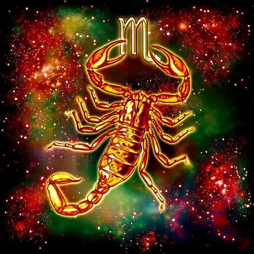 24октября-22ноября