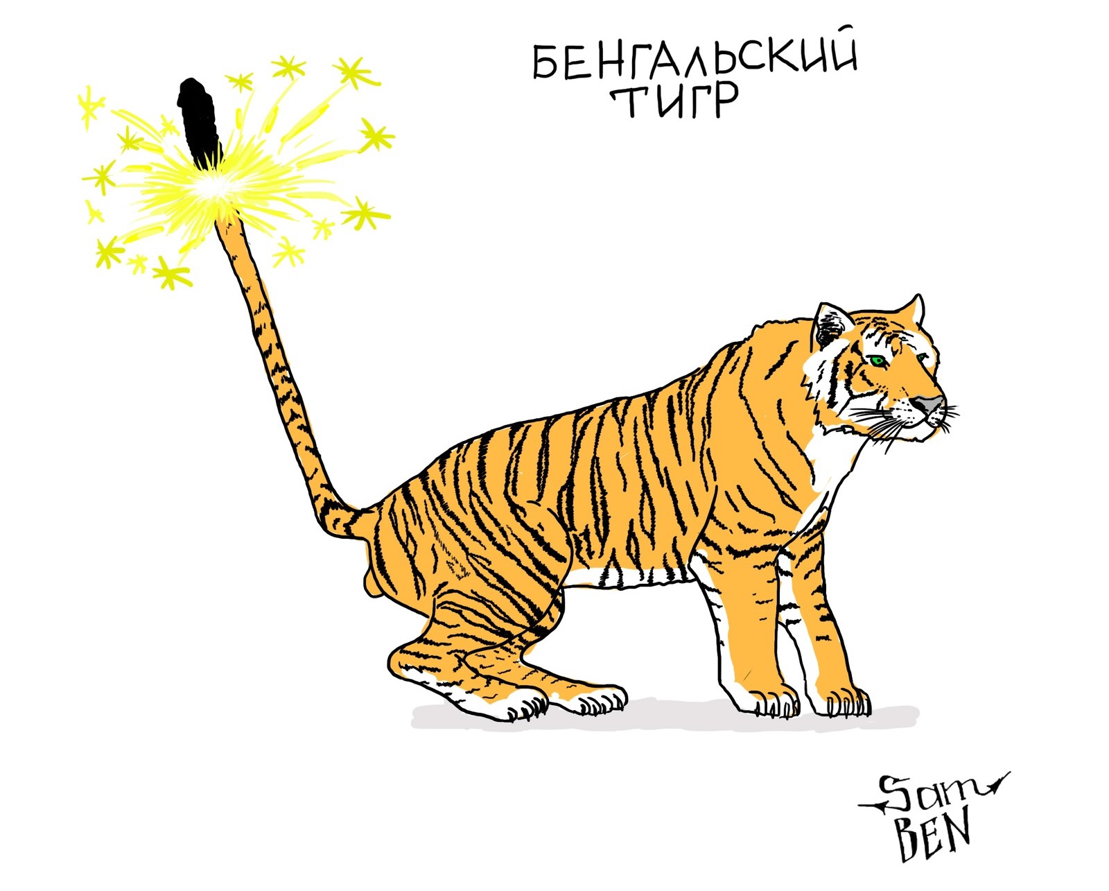 Бенгальский тигр: Король джунглей, с чьей силой считаются даже медведи. Каков символ 2022 года?0