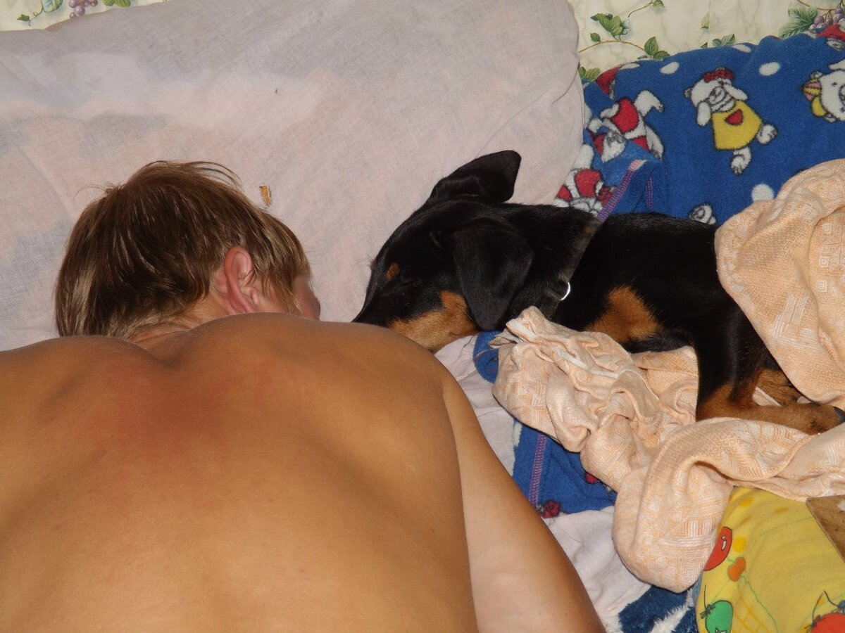 Тут ему полгода. После купания спит... он вообще спит под одеялом у меня в ногах.