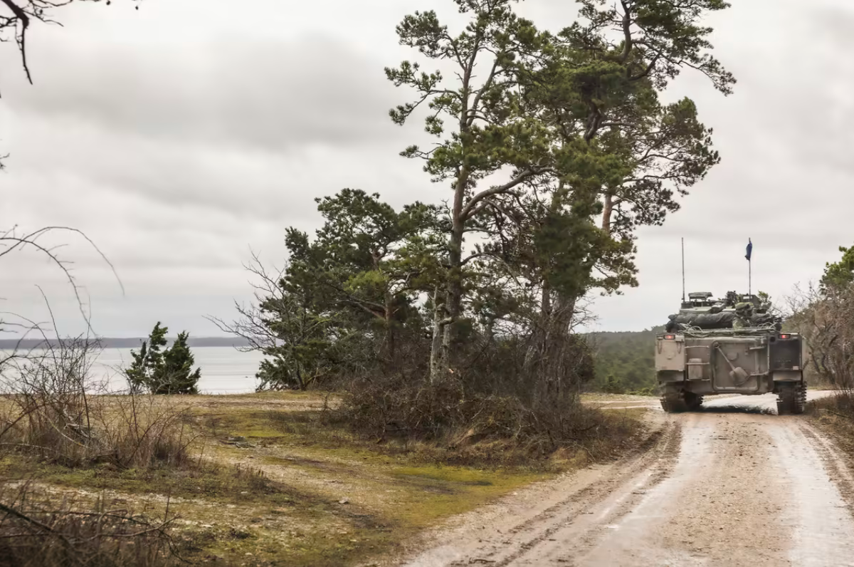 Шведская армия повышает боеготовность, перемещая технику и войска на Готланд. Фото: Karl Melander / EPA