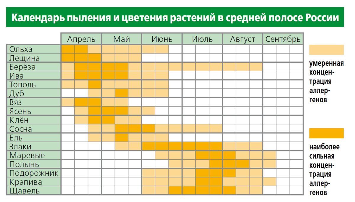 Аллергическая карта цветения