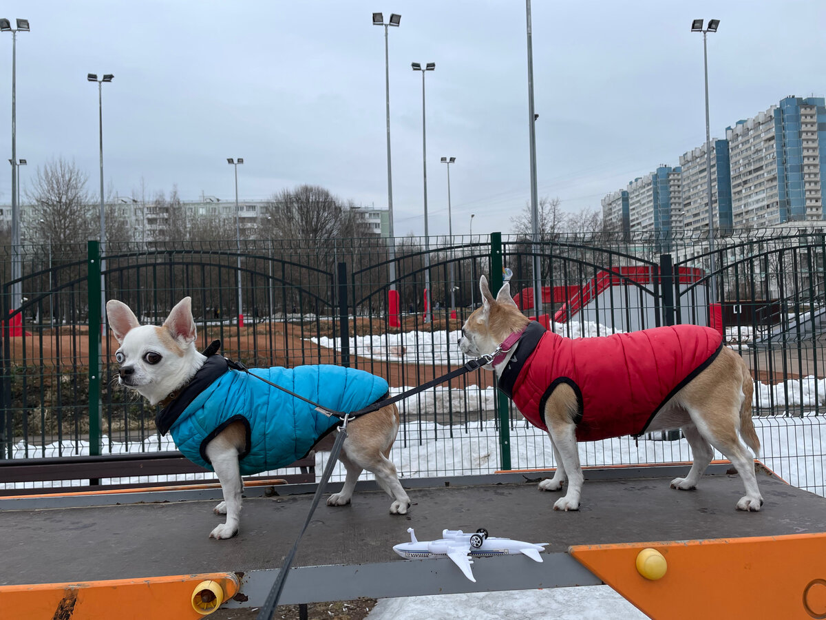 Первая горка