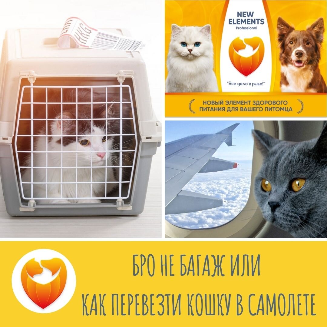 Подпишись на наш канал и получай полезную инфо ежедневно!