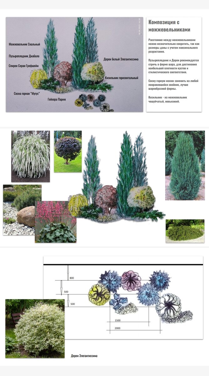 Композиция с можжевельниками