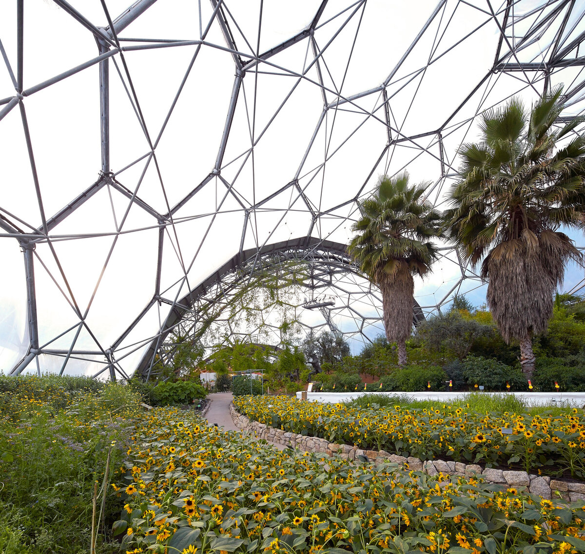 Необычные теплицы со всего мира.