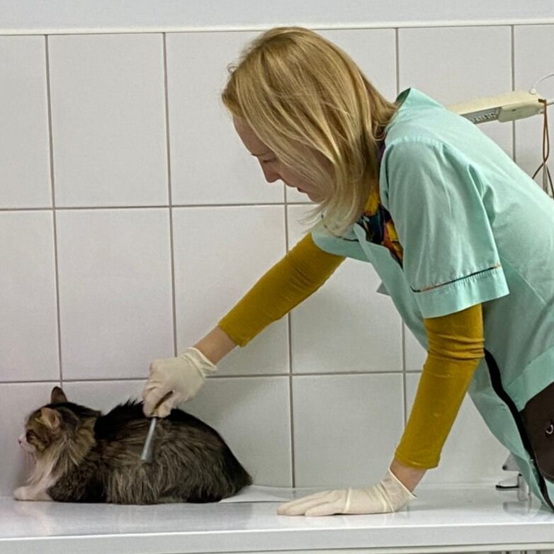 И полный осмотр пациента