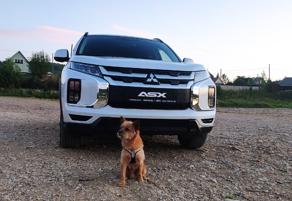 Запрыгнуть смогу, а как до окошко дотянуться? Невест выглядывать ?