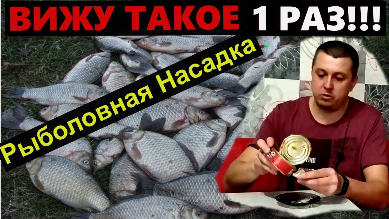 Как делать прикормку для карпа своими руками и выбрать покупные корма