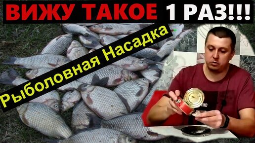 Прикормка на карпа на соревнованиях. ВИДЕО!