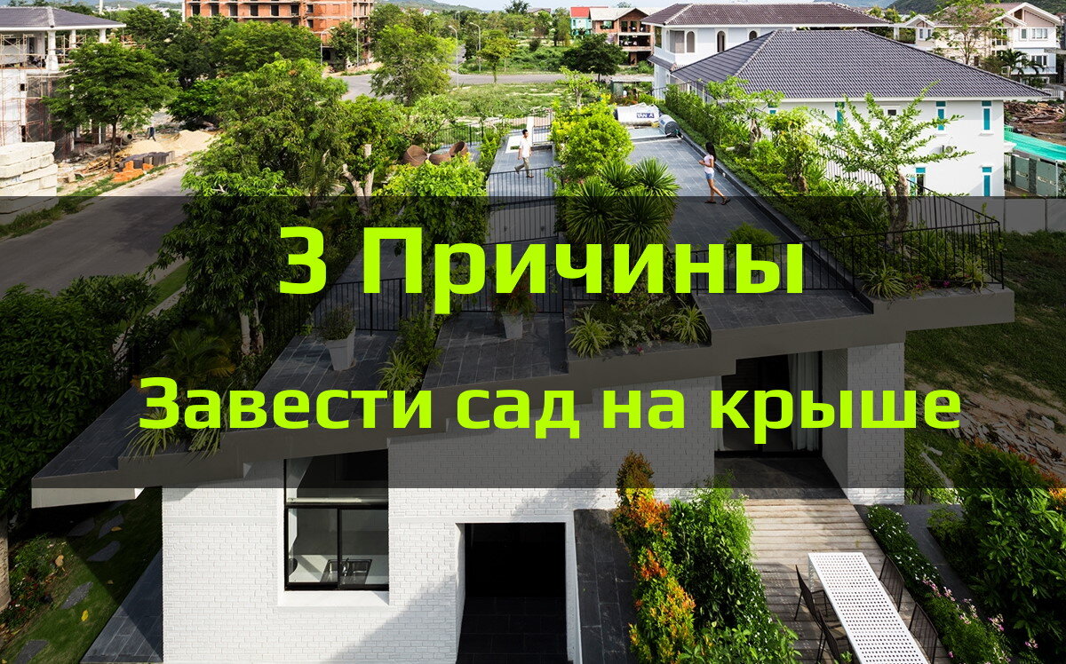 Сад на крыше
