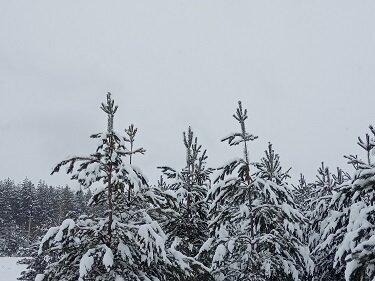Фотография из личного архива автора