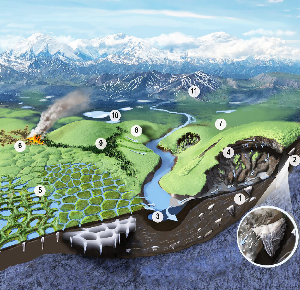   Meredith et al. / Special Report on the Ocean and Cryosphere in a Changing Climate, Chapter 3 «Polar regions», 2019