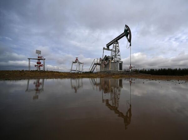   © РИА Новости Максим Богодвид