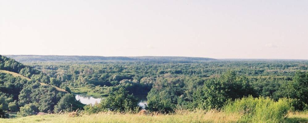 Фото из открытых источников.