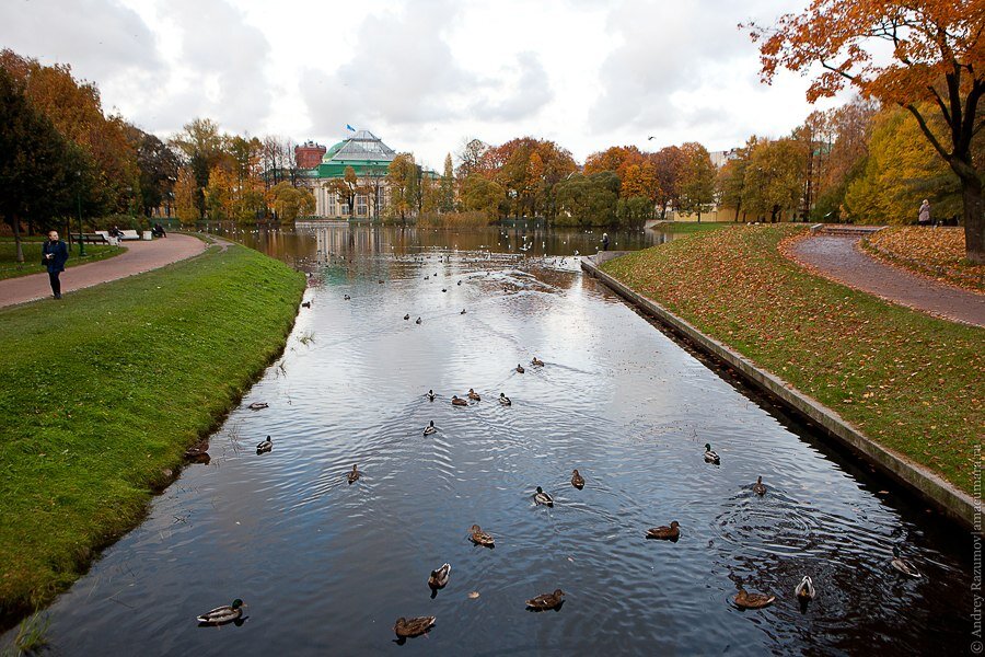 Таврический сад СПБ осень