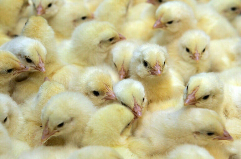   Юрий Инякин/ПГ