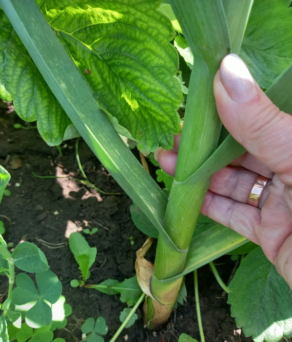 урожай этого года