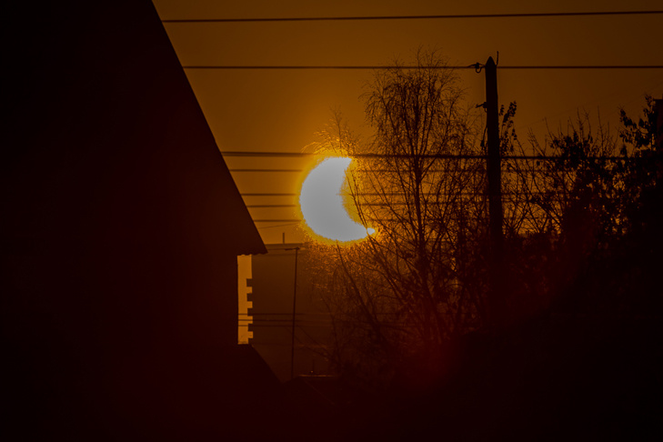    Фото Андрея Заржецкого