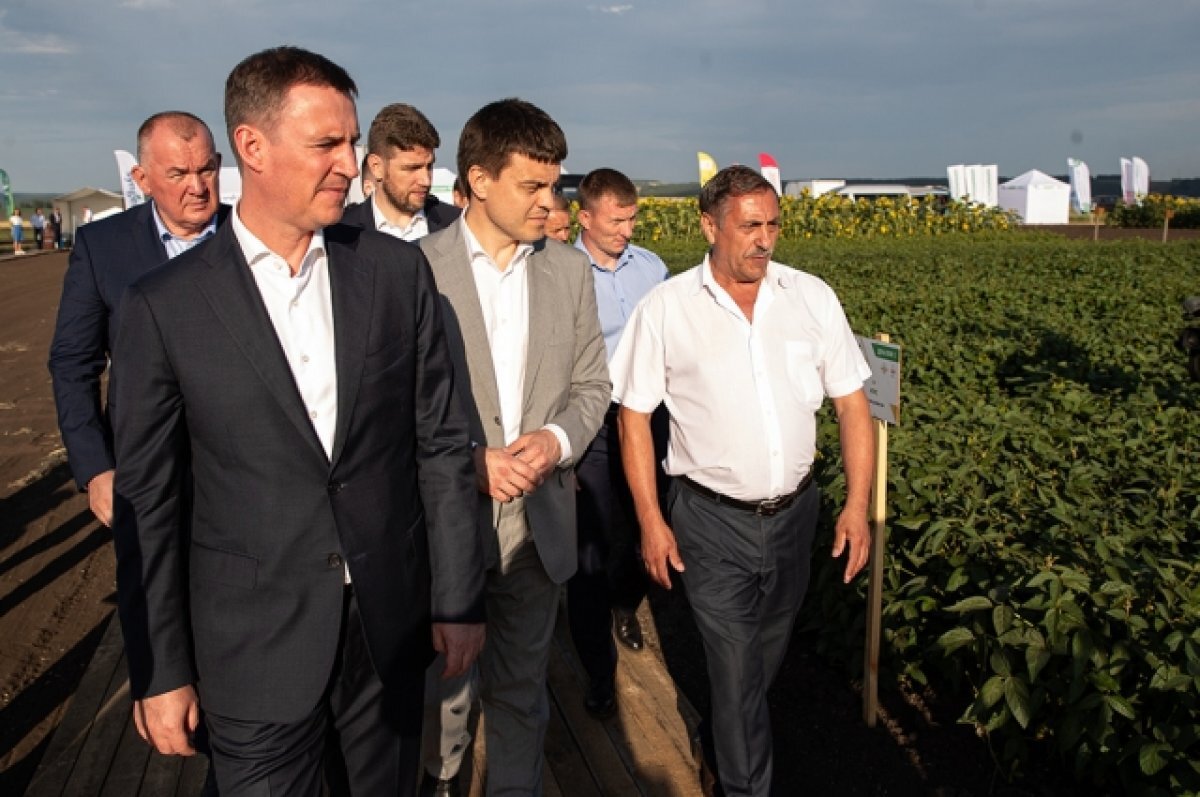    Благодаря федеральной поддержке край сможет обеспечивать себя свежими овощами круглый год.