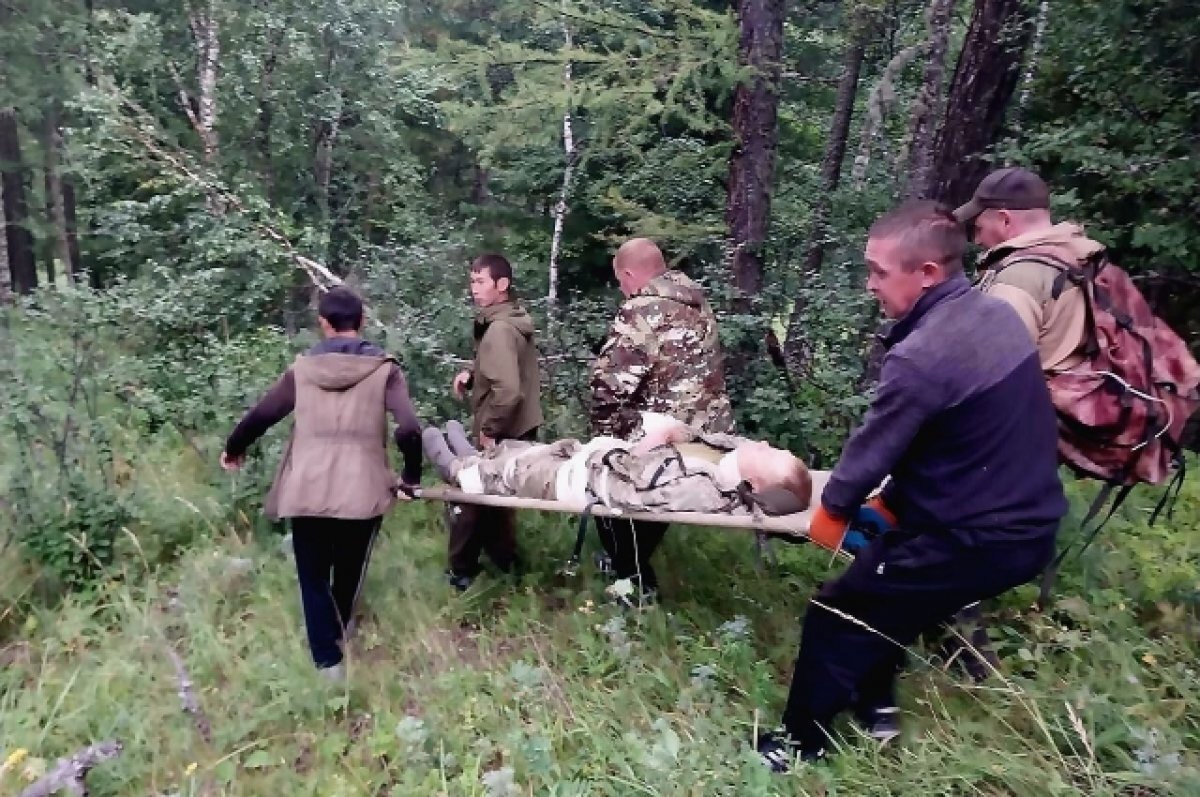    На Алтае сборщик шишек упал с кедра в тайге и получил травмы