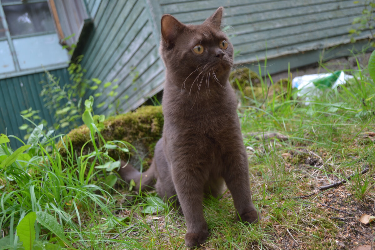 Ребят, тихо, кто-то ползет и летит, щас разберусь