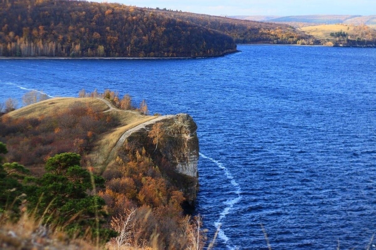 Реликтовые сосны Самарской Луки