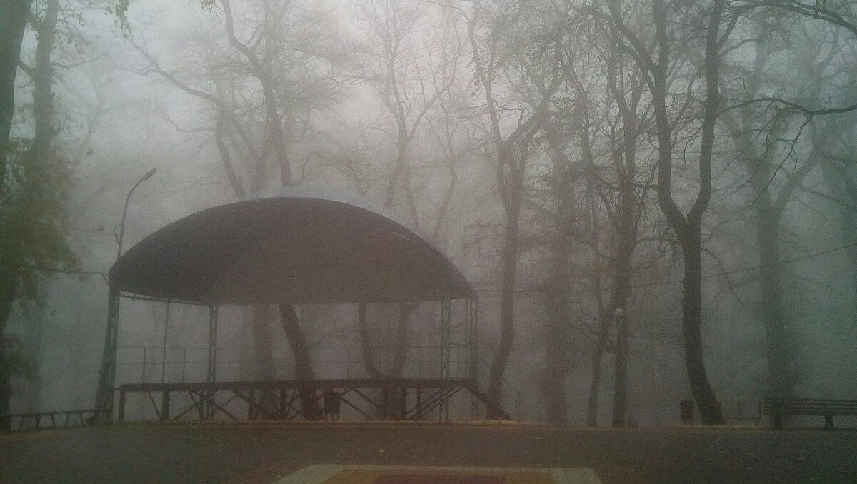     В Ставропольском крае в сентябре будет складываться солнечная погода, однако временами обещают и дожди. К чему готовиться этой осенью, в материале NewsTracker.