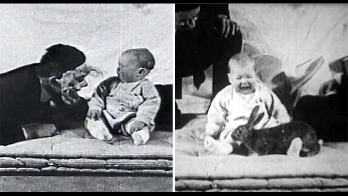 Взгляд младенца эксперимент. Эксперимент с визуальным обрывом. Эксперименты с новорожденными. Эксперименты с новорожденными. Эксперименты с новорожденными.