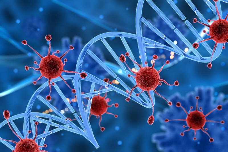 © photo credit by ru.freepik.com