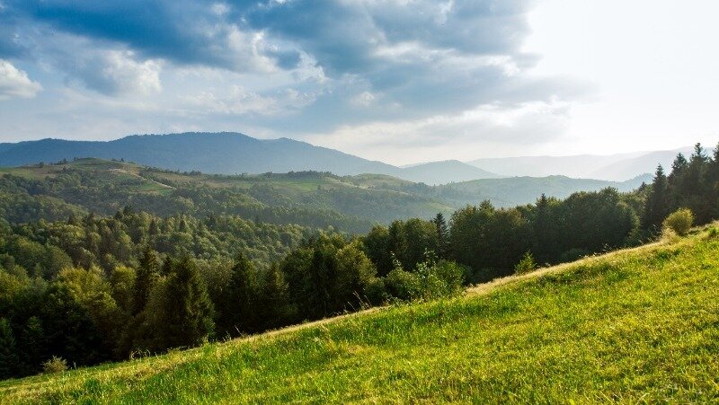 Фото: @cookie_studio / ru.freepik.com