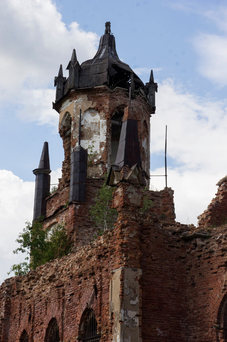 Автор фото: Надежда Савинова 