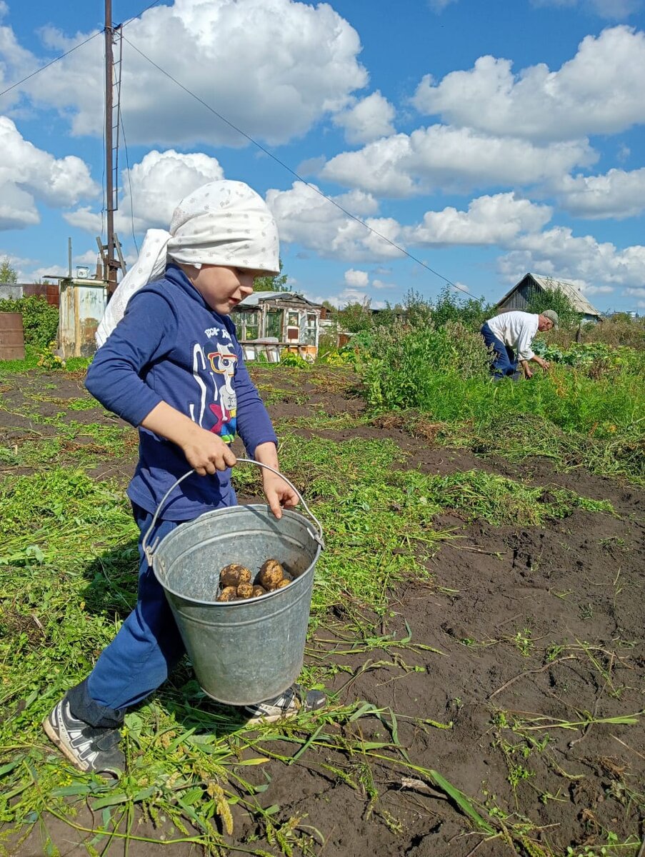 Наш помощник Илюша и его дедушка.