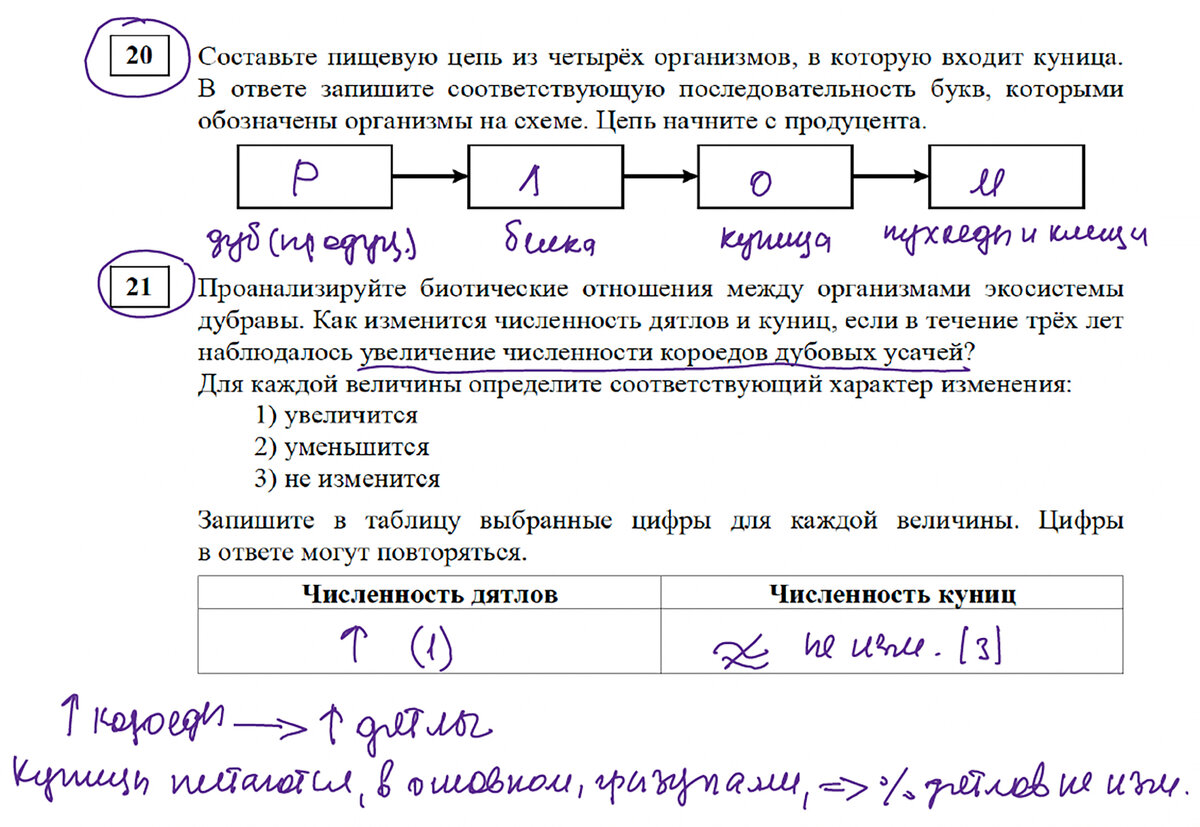 Какого числа огэ 2024 года