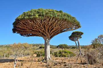 фото с stock.adobe.com